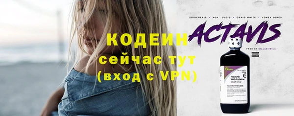 прущий лед Арсеньев