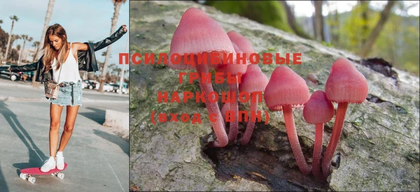а пвп мука Аркадак