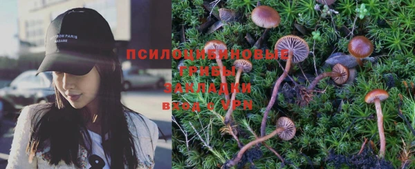 прущий лед Арсеньев