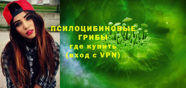 прущий лед Арсеньев