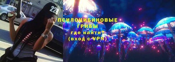 прущий лед Арсеньев