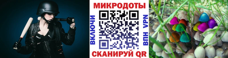 гидра как войти  Полярный  Галлюциногенные грибы мицелий 